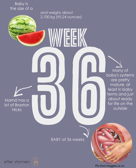 Semana 36 Embarazo | Week 36 Pregnancy