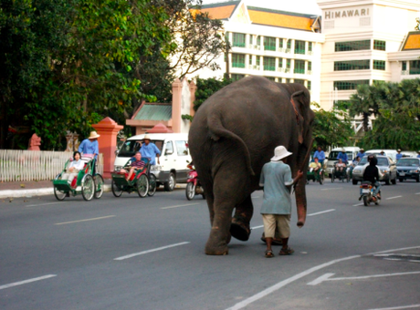 PHNOM PEHN