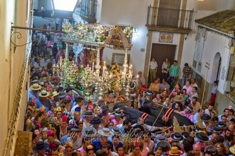 Galería fotográfica de la Romería de la Divina Pastora de Cantillana 2014 (II)