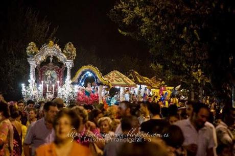 Galería fotográfica de la Romería de la Divina Pastora de Cantillana 2014 (II)