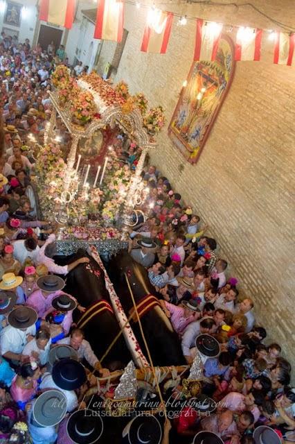 Galería fotográfica de la Romería de la Divina Pastora de Cantillana 2014 (II)