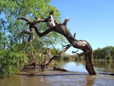 Bicicleta de río