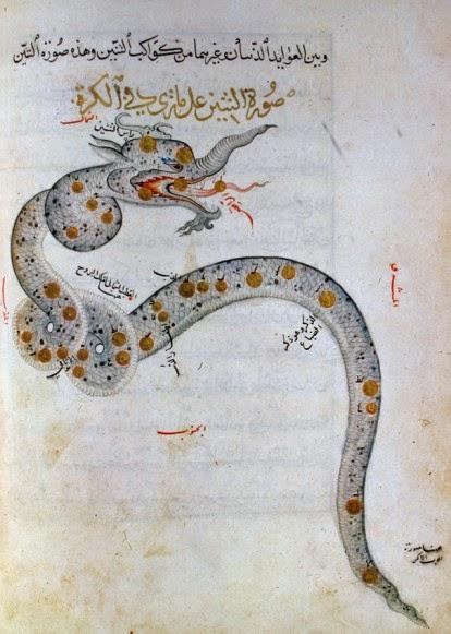 draco draco