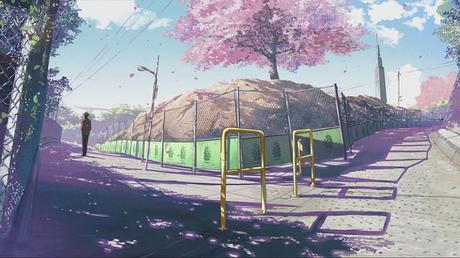 5 centimeters per second