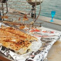 Dorado a la parrilla Dorado a la parrilla