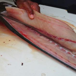 Dorado a la parrilla Dorado a la parrilla
