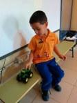 ¿Cómo cogen las uvas los tractores? ¿Cómo cogen las uvas los tractores?