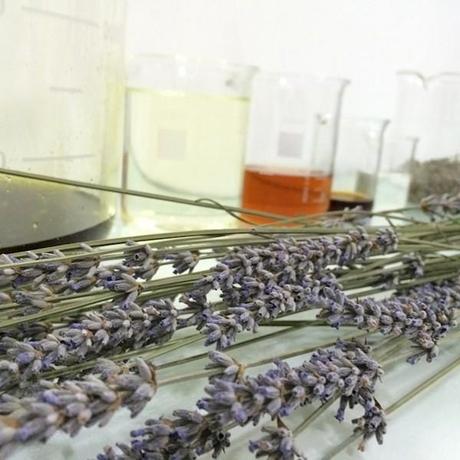 Jabones y aceites naturales Per Purr Perr Purr lavanda