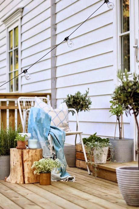 Scandinavian Cozy Scandinavian Cozy