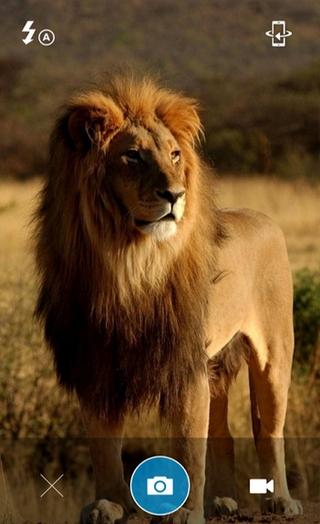 La app móvil Shutter para capturar fotos, vídeo y con espacio ilimitado en la nube, ahora en Android! shutter-android-2