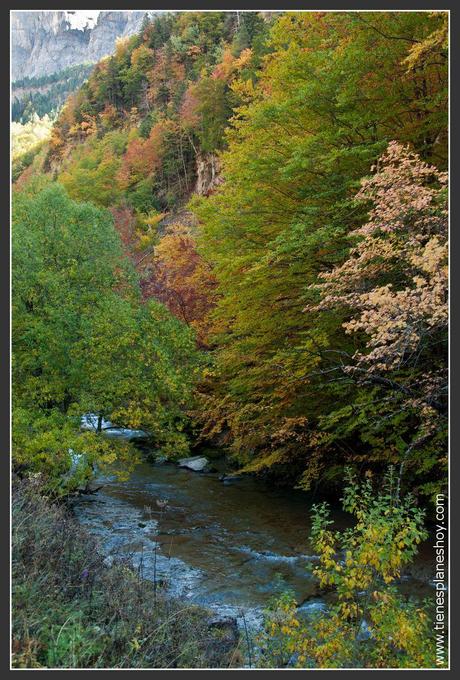 5 lugares para disfrutar del otoño al aire libre