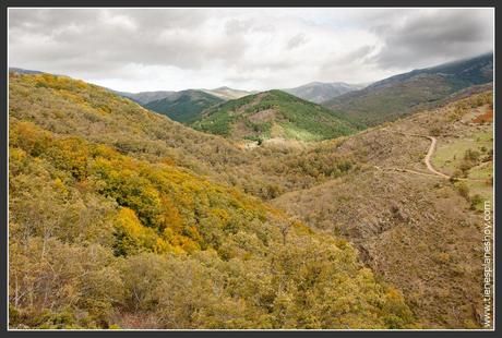 Hayedo de Montejo