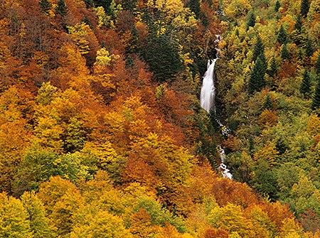 colores de otoño Otoño en el Vall d´Aran, inspiradores colores que conforman la moda.