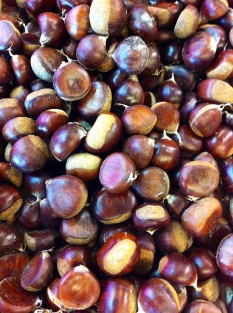 Tonos marrones. Las castañas, con sus tonalidades marcan los complementos que vamos a llevar, este año, mochilas para ellos en colores marrones.