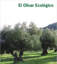 Olivar ecológico Olivar ecológico