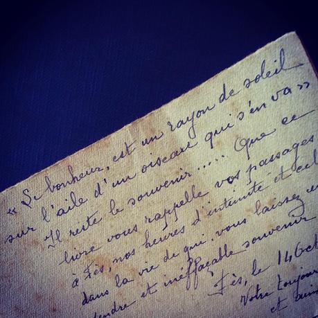 Lady Simone Lady Simone