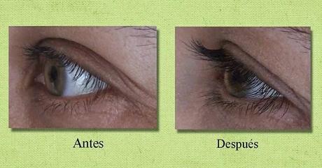 Serum para pestañas REALASH – mi veredicto final después de 3 meses Serum para pestañas REALASH – mi veredicto final después de 3 meses