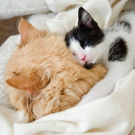 InstaSeptember InstaSeptember