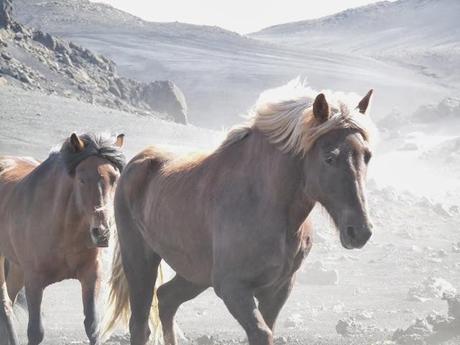 Las montañas pintadas de Landmannalaugar