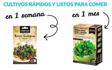 Cultivos rápidos: listos para comer en 1 mes semillas de cultivos rápidos