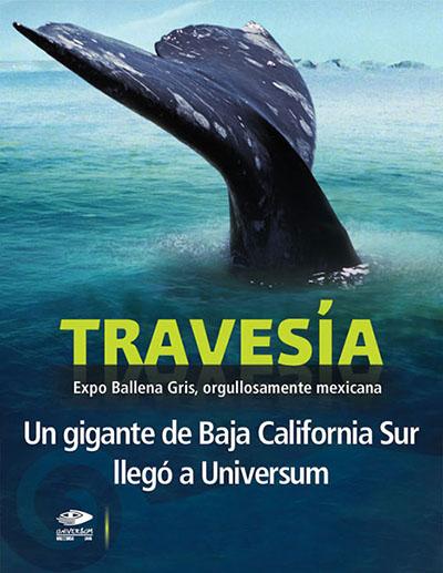 Travesia Ballen a Gris en Universum Travesia Ballen a Gris en Universum