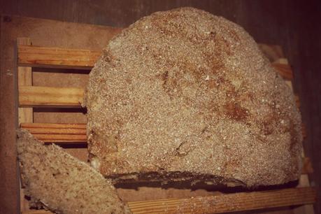 PAN DORIS GRANT PAN DORIS GRANT