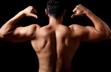 Los músculos masculinos preferidos por las mujeres - Paperblog
