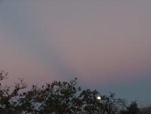 DSCF9707 Eclipse de Luna (8 de octubre)
