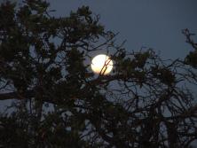 DSCF9699 Eclipse de Luna (8 de octubre)