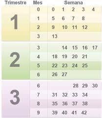 Segundo Trimestre del 2º embarazo (I parte) descarga