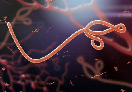http://www.shutterstock.com/es/pic-210544051/stock-photo-microscopic-view-of-the-ebola-virus.html?src=pp-photo-200172980-woYEVu8_4MnYPIShnhI-5w-7