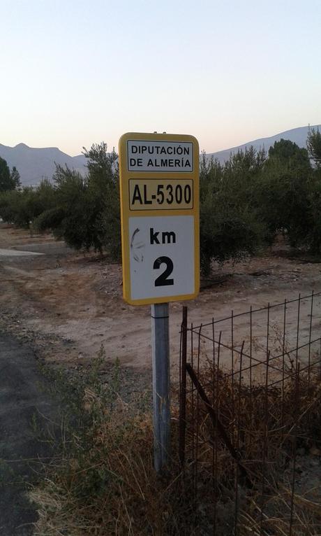 Como un reality show, pero sin cámara Como un reality show, pero sin cámara