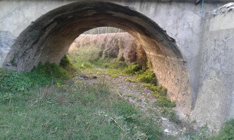 Como un reality show, pero sin cámara Como un reality show, pero sin cámara