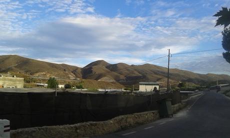 Como un reality show, pero sin cámara Como un reality show, pero sin cámara