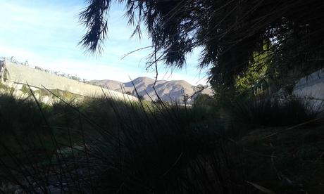 Como un reality show, pero sin cámara Como un reality show, pero sin cámara