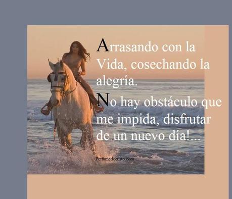 Disfrutar De Un Nuevo Día.. _voy por ellos