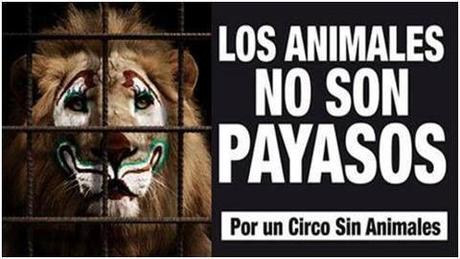 circo sin animales slp