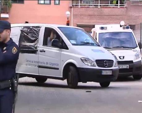 Contagio de ébola. Genial traslado del cadáver perruno #contagio de ébola