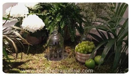 Fluido Antiarrugas Polyphenol C15 de Caudalie Los productos Polyphenol C15 de Caudalie en la presentación a prensa y bloggers.