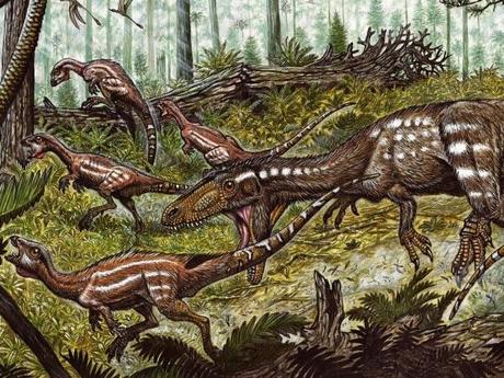 Descubren nueva especie de dinosaurio en Venezuela: Tachiraptor admirabilis