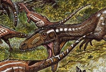 http://m1.paperblog.com/i/284/2848193/tachiraptor-admirabilis-nueva-especie-dinosau-T-jWx30N.jpeg