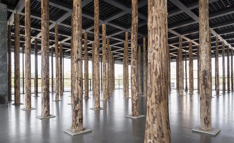 Un bosque en el interior de un clásico como Mies van der Rohe, Berlín