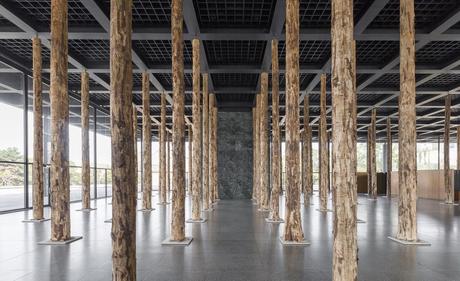 Un bosque en el interior de un clásico como Mies van der Rohe, Berlín