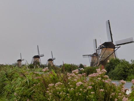 Día 5: Ruta 3: Rotterdam - Delft - La Haya - Kiderdijk -Roosendaal Día 5: Ruta 3: Rotterdam - Delft - La Haya - Kiderdijk -Roosendaal