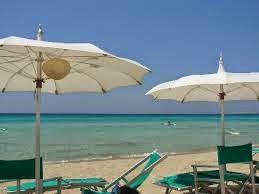 shaw lido 7 shaw lido