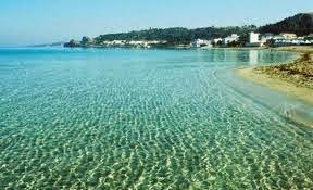 shaw lido 3 shaw lido