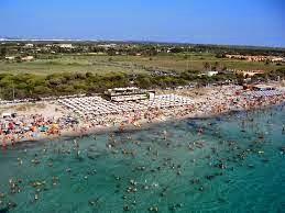 shaw lido 8 shaw lido