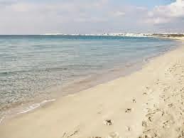 shaw lido 4 shaw lido