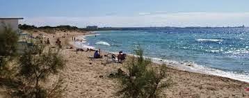 shaw lido 11 shaw lido