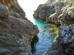 calcio napoli 9 calcio napoli